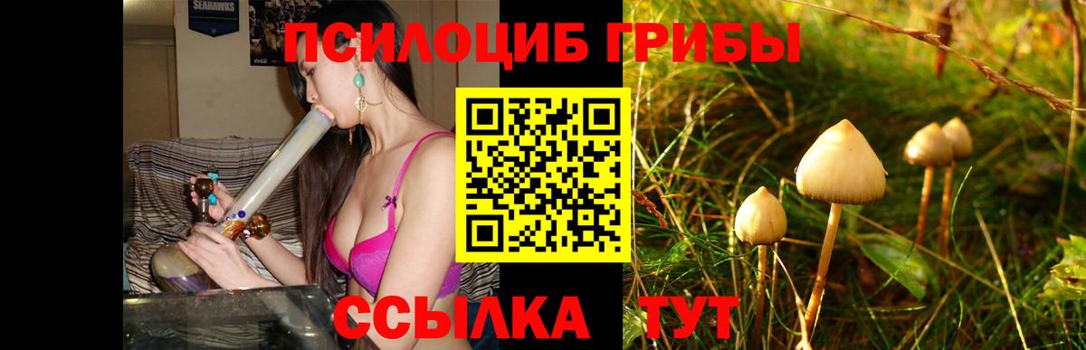 Псилоцибиновые грибы MAGIC MUSHROOMS  Вход с VPN  Елец  Псилоцибиновые грибы ЛСД 